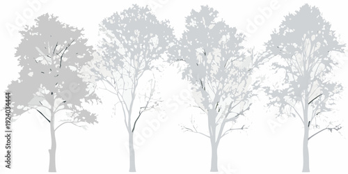 Silhouetted trees in varying shades of gray create a natural scene