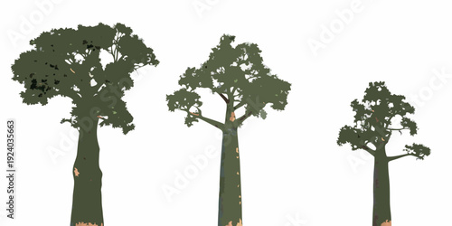 Three stylized trees of varying heights against a white background