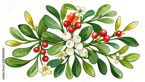 Watercolor mistletoe with berries and leaves