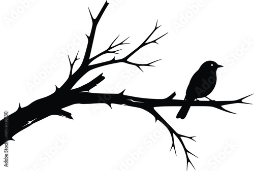 Black silhouette of a bird perched on a bare tree branch against a white background