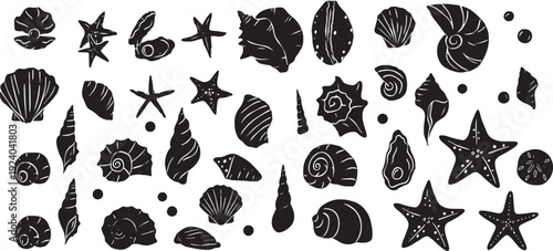 black and white illustration of various sea shells and starfish