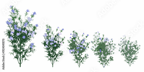 A series of flowering bushes gradually diminishing in size