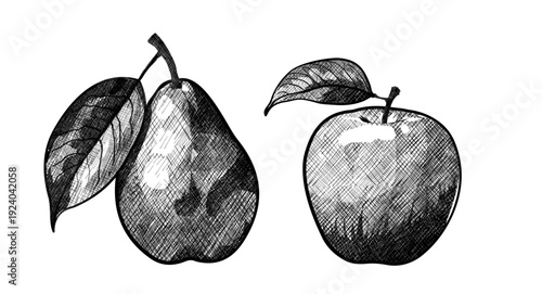 Apple and pear with leaves, hand drawn fruit vector sketch set