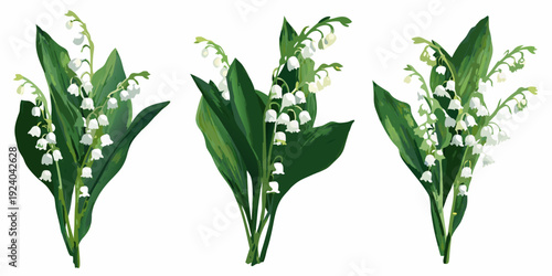 Three delicate bouquets of lily of the valley flowers on white background