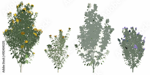 Four stylized trees with different colored blossoms against a white background