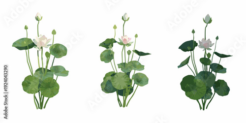 Watercolor illustration of three lotus flower arrangements with green foliage