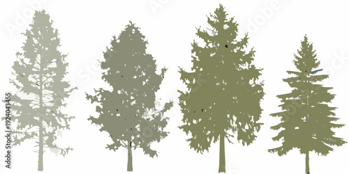 Four stylized evergreen trees in shades of green and gray