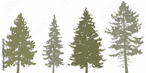 Silhouetted evergreen trees against a plain white background