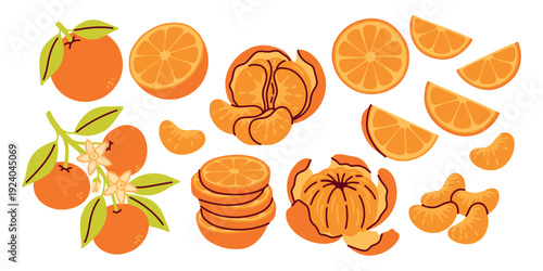 Large set of juicy oranges, mandarins, and tangerines. Includes whole fruits, peeled segments, slices, and a flowering orange branch. Perfect for healthy food design and harvest concepts.