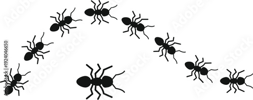 Ants forming an arc or trail, showing teamwork and unity in simple black silhouette