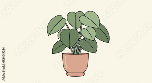 Illustration of a potted house plant with green leaves