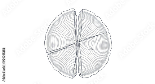 Stylized cross-section of an aged tree with visible growth rings and a crack.
