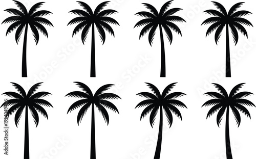 Set of palm tree silhouettes isolated on white background, tropical coconut palm collection for summer beach design, island vacation, and exotic nature illustration