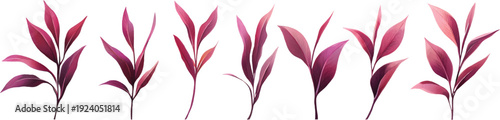 A set of realistic purple-red plant illustrations, depicting multiple poses on a transparent background