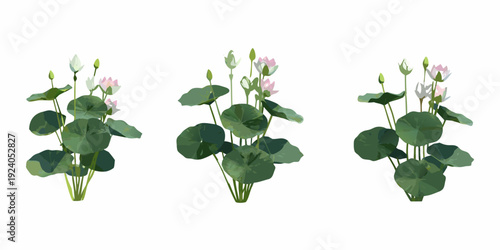 Three stylized lotus flower arrangements with green circular leaves