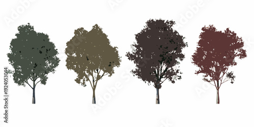 Four isolated trees displaying autumn foliage in varying shades