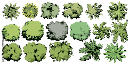 The Green Blueprintใ A comprehensive collection of top-down vegetation symbols, featuring both realistic textures and minimalist line art for professional landscape mapping.