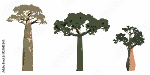 Three stylized trees of varying heights and foliage are displayed