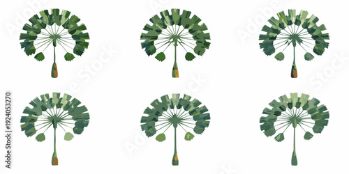Watercolor illustration of six fan palm trees in varying perspectives