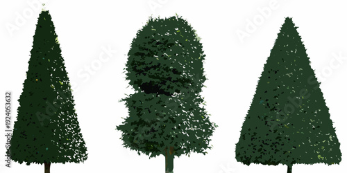 Three stylized evergreen trees against a plain white background