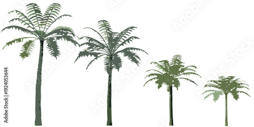 Four palm trees of varying heights stand against a white background