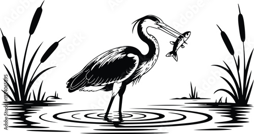 A black and white illustration of a Great Blue Heron standing in shallow water with ripples radiating outward.