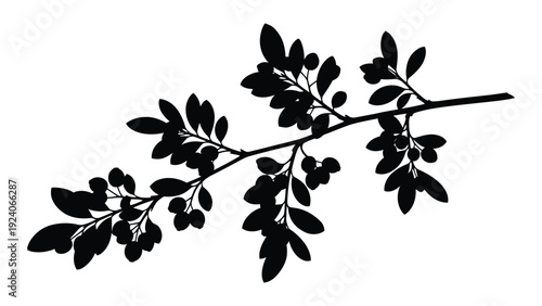 A black silhouette of a tree branch with leaves isolated on white background, Vector