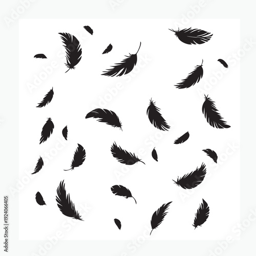 set of black silhouettes of feathers