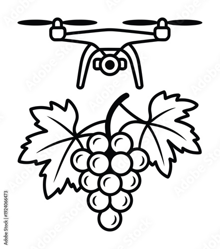 Drone hovering over a bunch of grapes with leaves