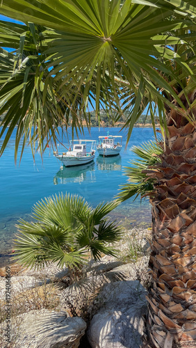 view of yachting boats through the leaves of exotic plants in a bay in Koroni...