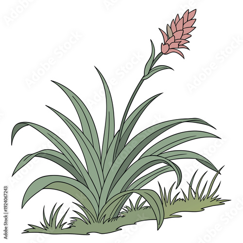 urn plant vector on white
