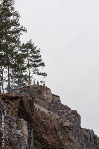 tree on the rocks