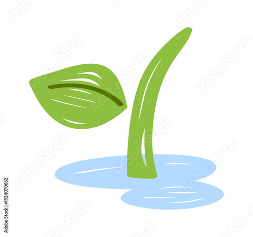 Plant sprout growing from water