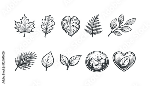 Nature, botanical outline icon set. Elegant leaves and plant icons for gardens