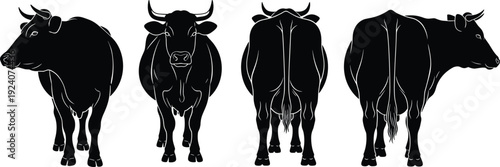 Black buffalo silhouette set showing front rear and side views isolated on white background vector illustration detailed farm animal clipart
