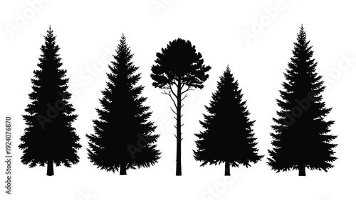 A group of pine trees and one deciduous tree in a row isolated on white background, Vector