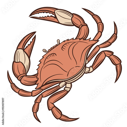 A cartoon crab with orange shell and legs