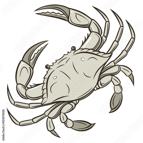 A cartoon drawing of a crab on a white background