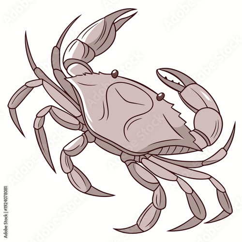 A pink crab on a white background