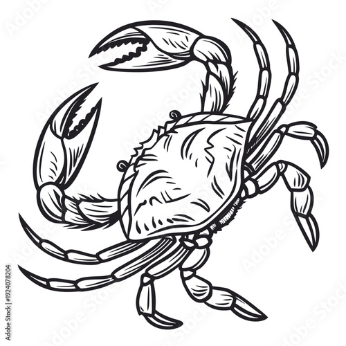 A black and white drawing of a crab