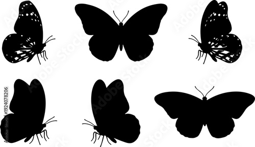 Six black and white butterfly illustrations with intricate details and patterns