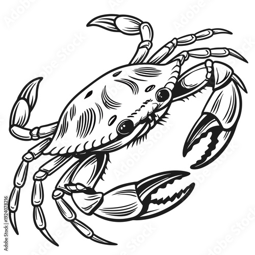 A black and white drawing of a crab