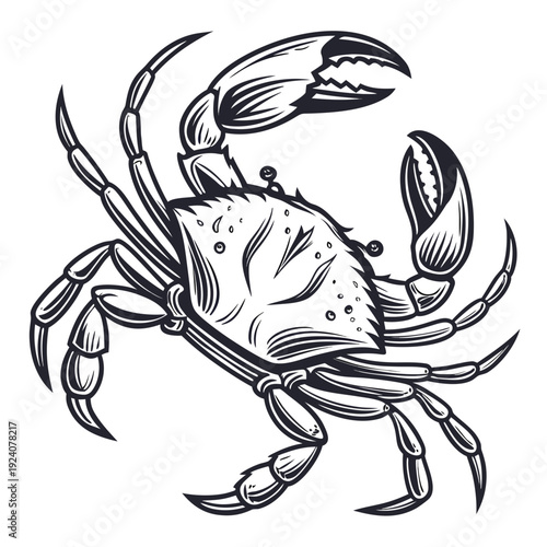 A black and white drawing of a crab