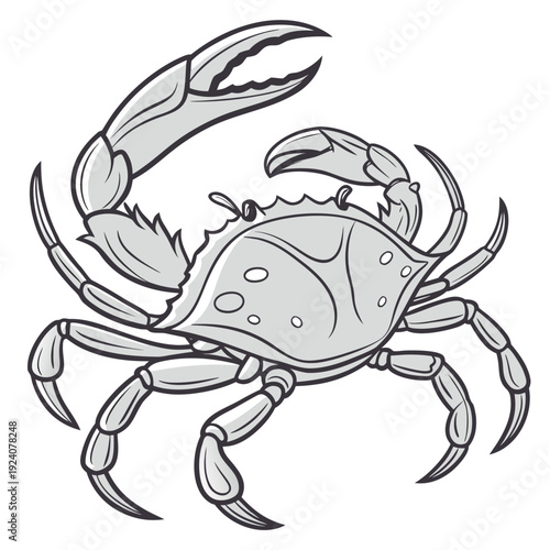 A drawing of a crab with its claws raised