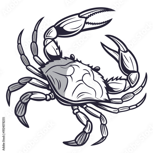 A black and white drawing of a crab