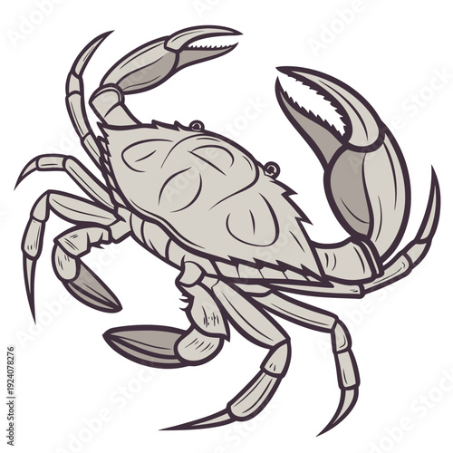 A cartoon drawing of a crab on a white background