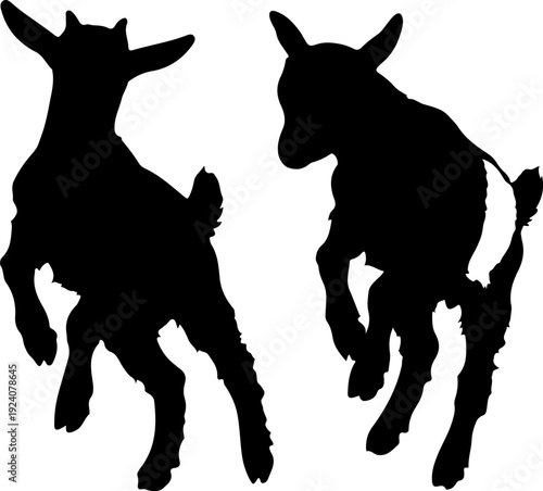 Two playful goats silhouetted against a white background in a dynamic pose.