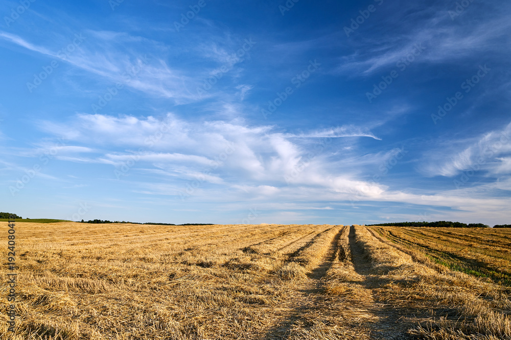 Fototapeta premium Rural landscape with stubble between cultivated fields after the summer harvest