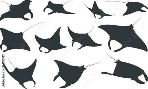 Silhouette illustration of twelve manta rays swimming in diverse positions and orientations, showcasing marine life movement, biological diversity, and artistic design inspiration.