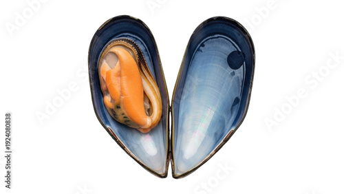 Quadro su tela Isolated opened mussel shell with edible mollusk, a fresh gourmet seafood delica
